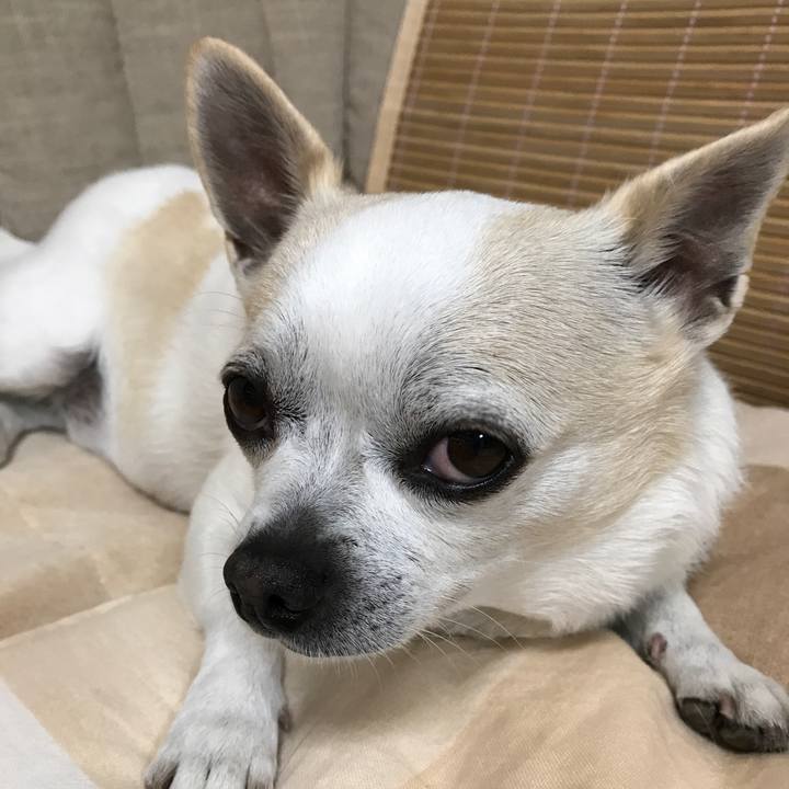 D787b3c4 7871 442e b373 979efdc42502