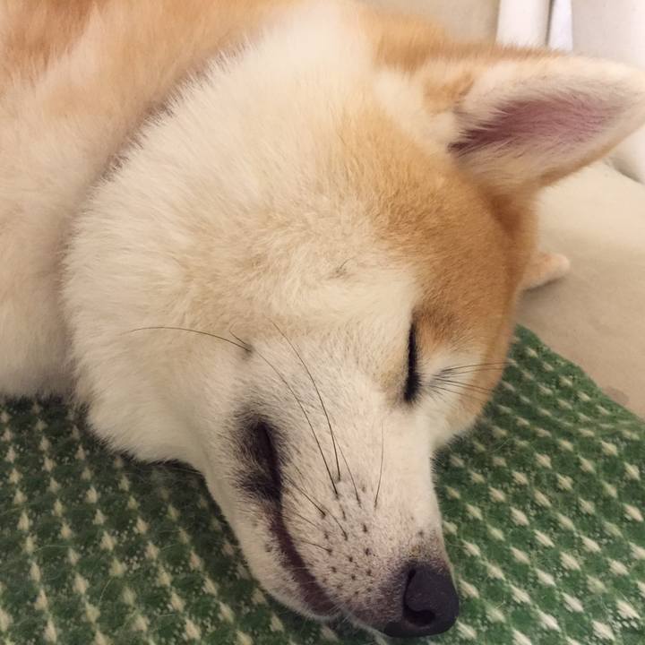 D7889176 2131 4bd2 a0d0 698acf33629f