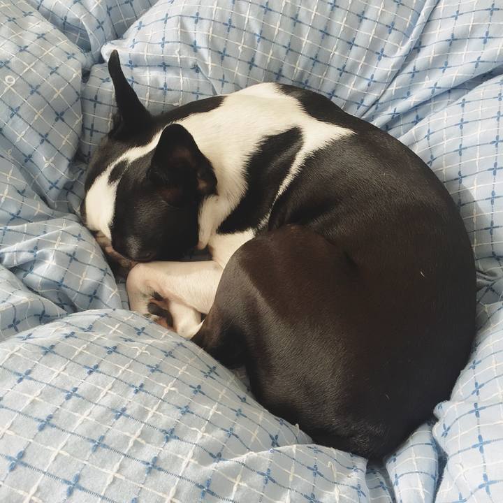 D788ae32 4080 4fb2 95ea 0ea3d300e790