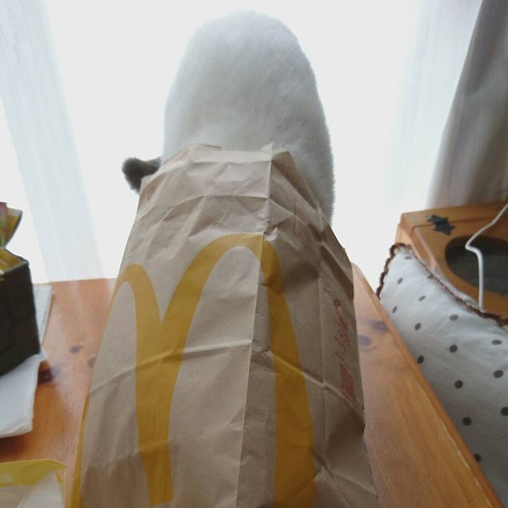 D788af43 4a18 4b9b a048 d079a709717b