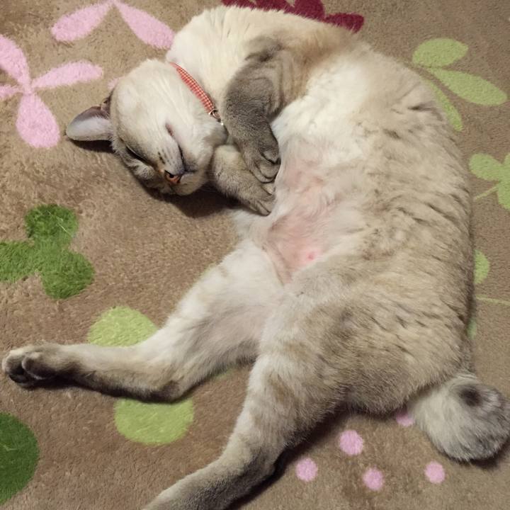 D788f71e 1aec 4c9d 94b6 f3b05040bdb3