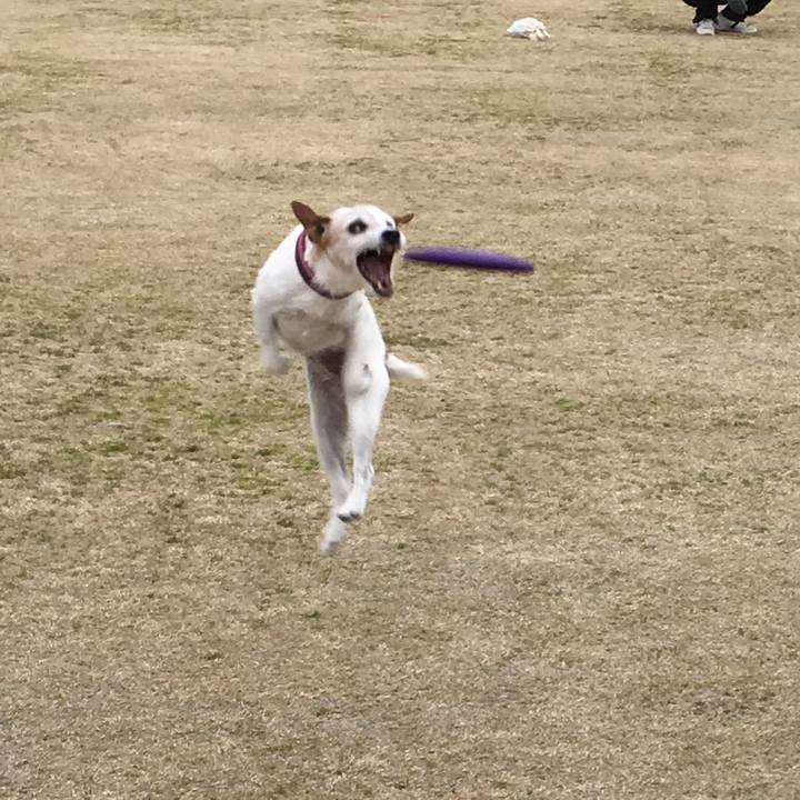 D7892c4e 3764 406d bd1f c851eb5484ee