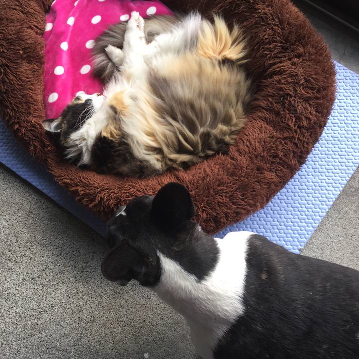 D7895d2f 5571 4cb6 b607 d81d58afec63