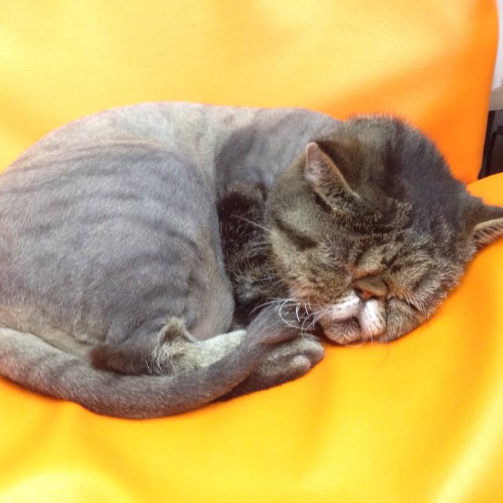 D789e629 4e91 4888 b8f9 5635c47b64b7