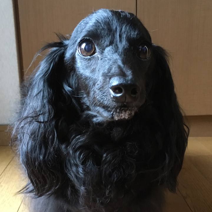 D78a9e60 24f9 4871 8746 711579513ef7