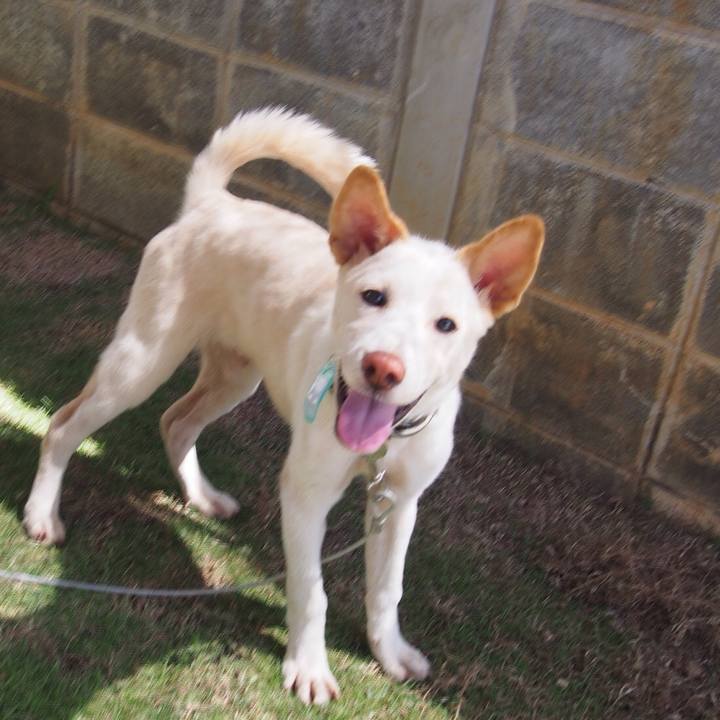 D78aa81c 1053 4e2c 8fc3 c1cbbf755c0c