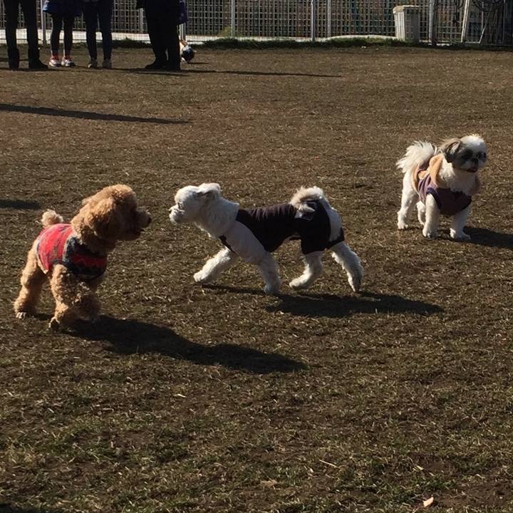 D78ab5ff b8b2 426a 90f8 ef3b6f056d1d