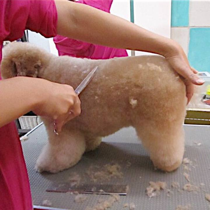 D78b4752 ace2 4543 8fc1 2104145b7203