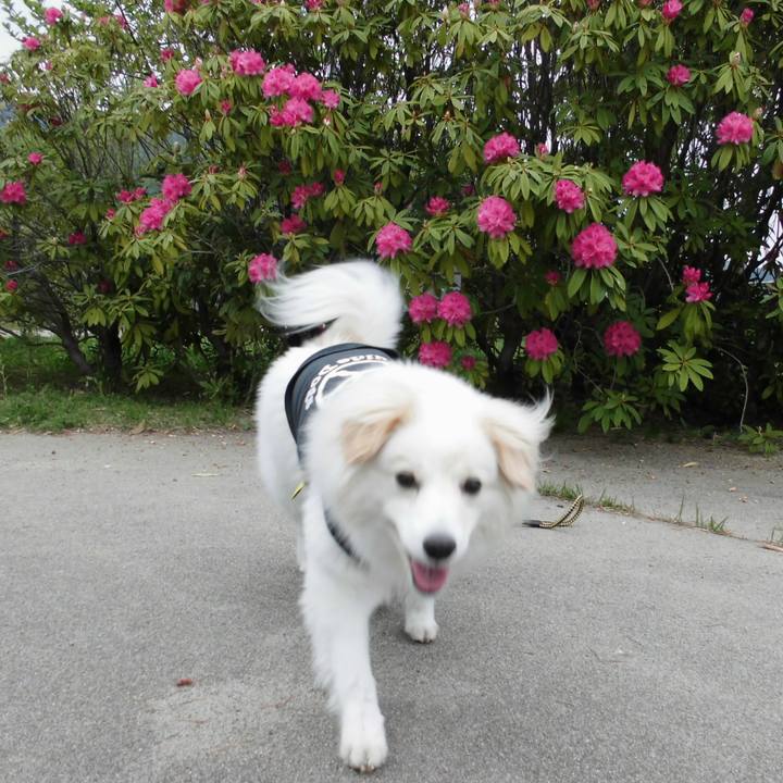 D78ba966 d6ca 43d0 9f15 2ddb6b8e6d41