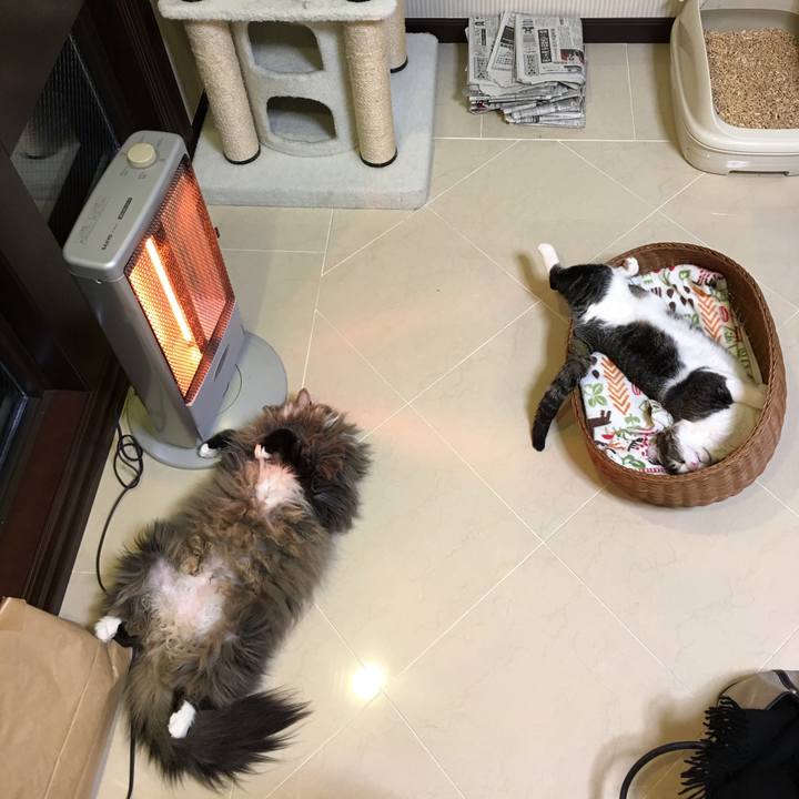 D78bdeff b058 4216 860f 28823bbdc02e