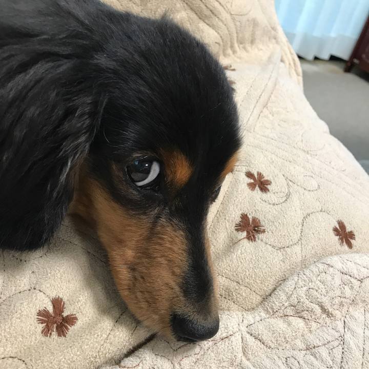 D78ca91b d8eb 496a 9db5 4b779e59376e