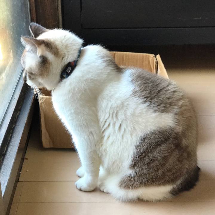 D78cc81b 821c 4f1f 97d9 732dda8fe980