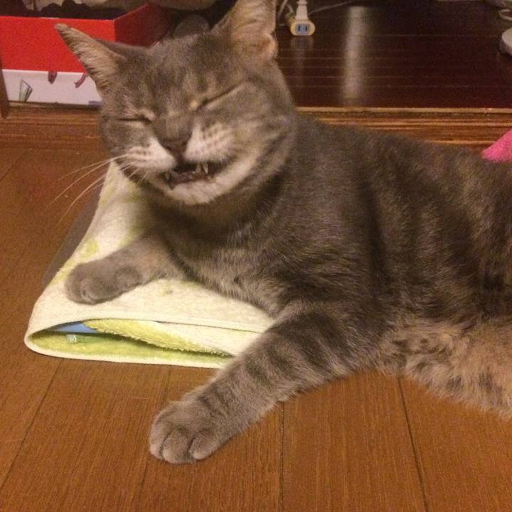 D78ce6f7 785e 44c9 acf6 1185e25765a7