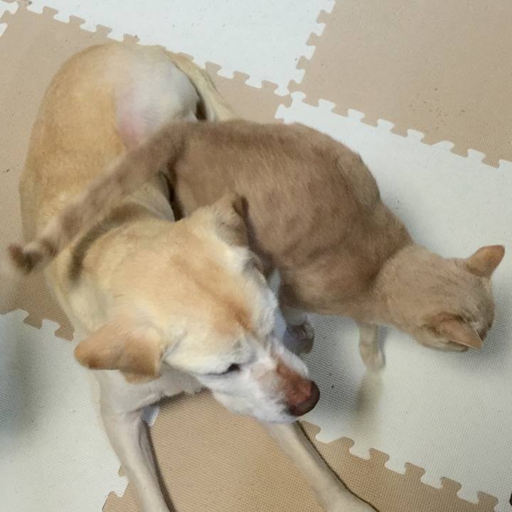 D78e2627 6d98 4f89 a3e3 345bbc1c9325