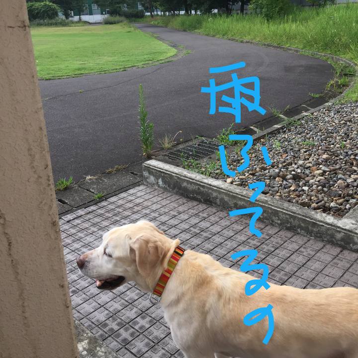 D78e7689 a6e6 4790 9a68 ee96a2612cde