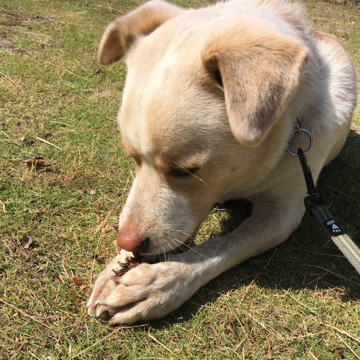 D78e79db 4e11 4835 9e0f bb125e835d92