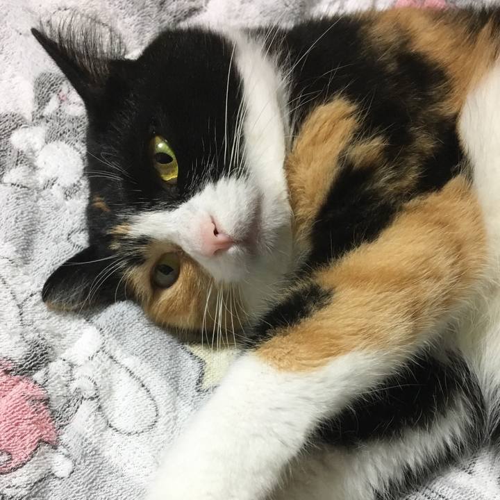 D78eca4e 2d49 4297 a21e 72793f059a29