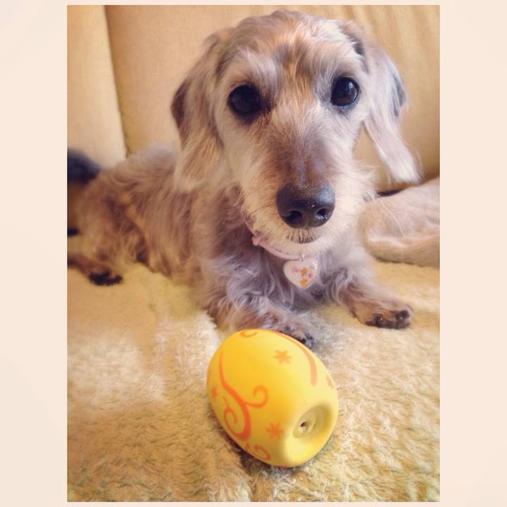 D78eded7 2231 4309 87bb 968a80758c8a