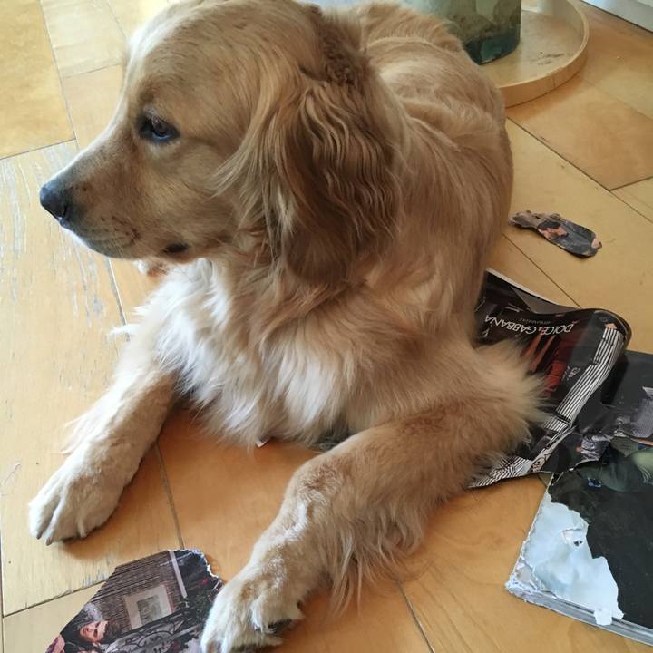 D78f3869 c80a 4caa 98fa 0f96e4ec9c96