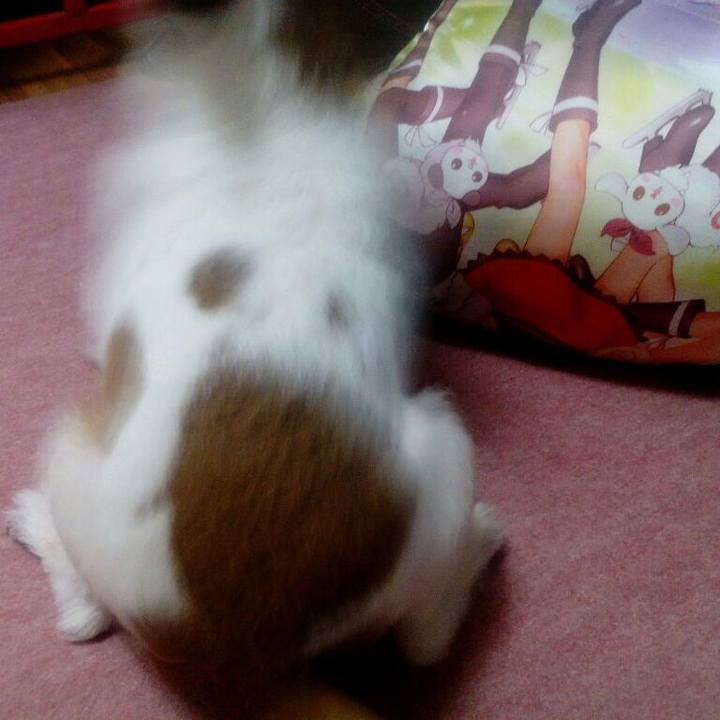 D78f43bd 15a2 4c2f 86ec de0528380c52