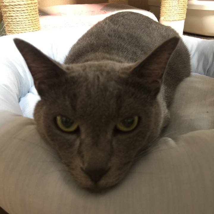 D78fcac6 feda 4af6 8f33 38906fc6a93a