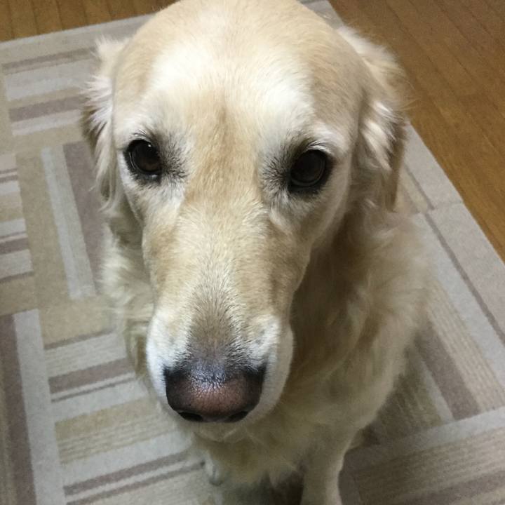 D7902cb7 9266 47ce 80d0 c1cecf7ad45c