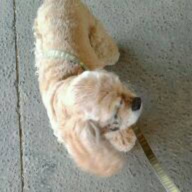 D790307c 00c2 41d8 ae6e 044770437531