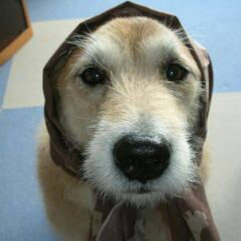 D79085be 5aaf 4d79 9b53 e18766251a58