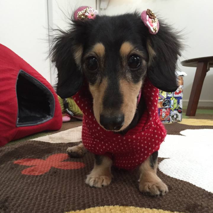 D790e1df 14fc 422f 9c4a 4847275eb1f5