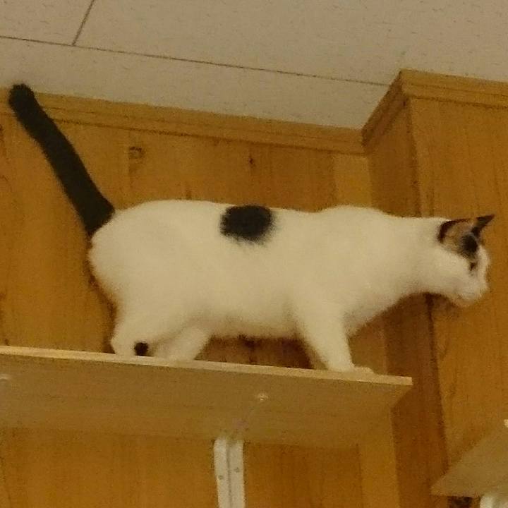 D791656e ae3d 43fa 904a 7ac0026e4588