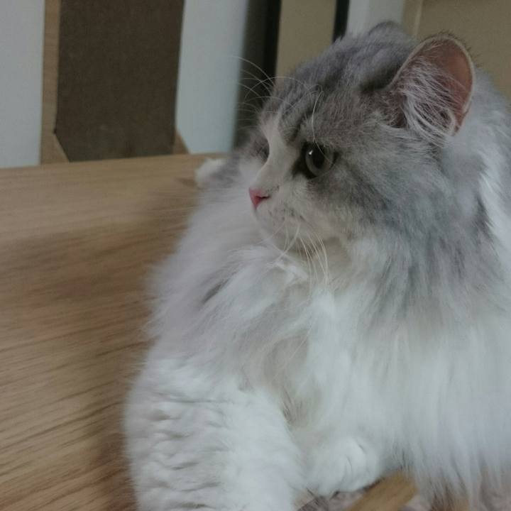 D79168bb 78a2 4a4b b538 cfb9e181bfe8