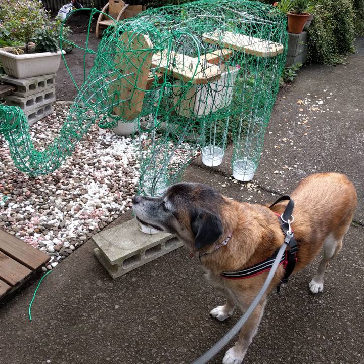 D791f471 4ab2 40d8 93d9 07f1262863d5