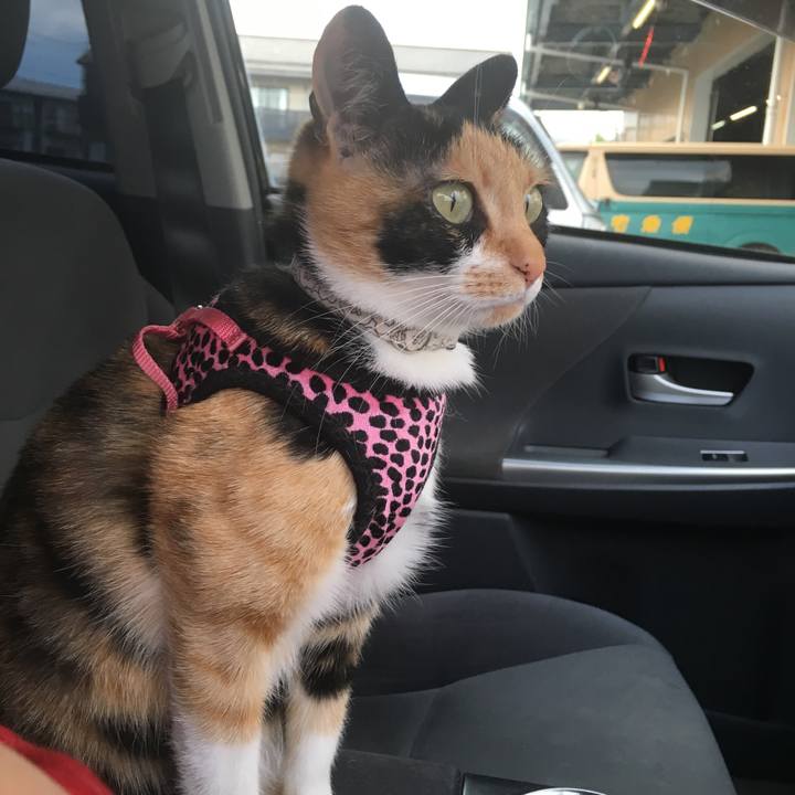 D792327e 5d94 4f5a ab13 cf154e9102ba