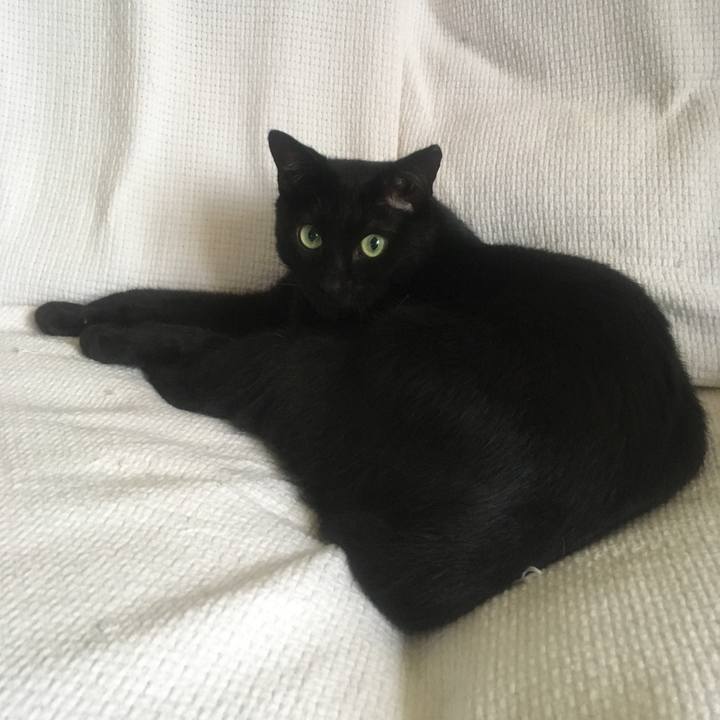 D792a564 2657 4ddb ab33 ee0c21a33340