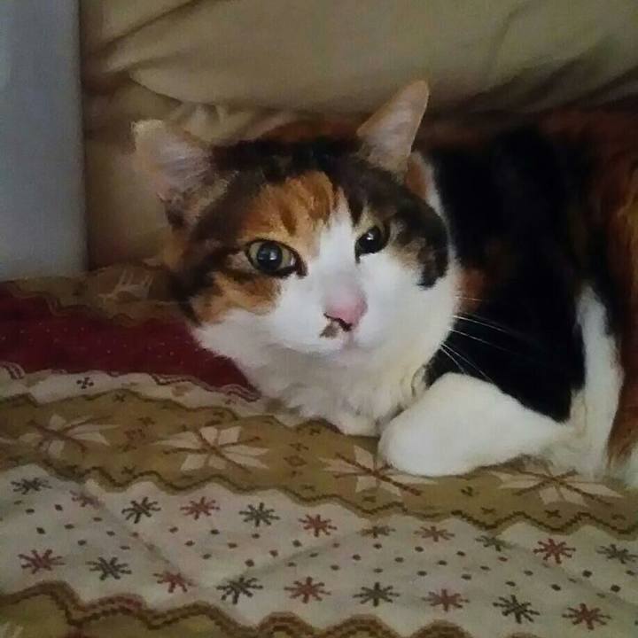 D792c93f 4a2a 418d a424 fbe5866db94d