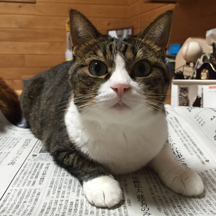 D79327c7 9acb 40df 8d32 456e5daebf69