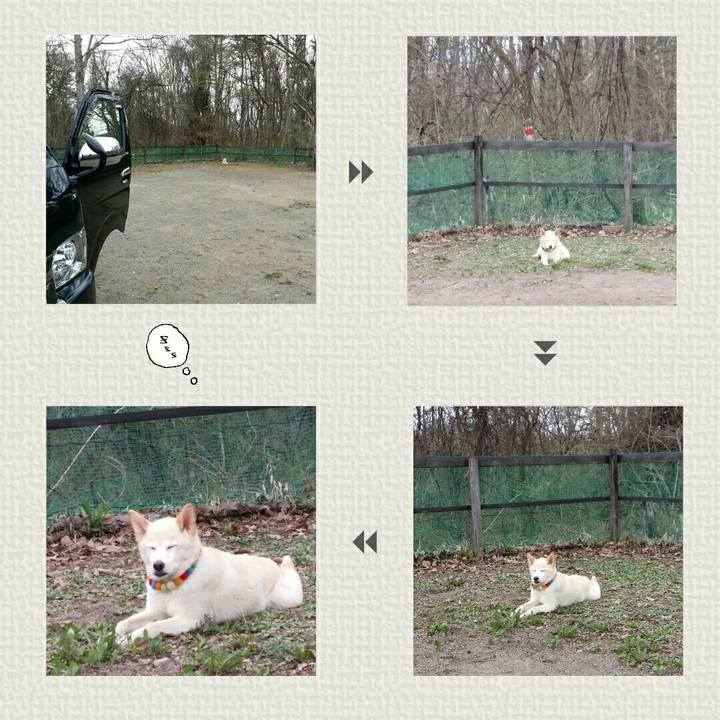 D793c7e8 c5e6 4a56 b804 1943b5511a90