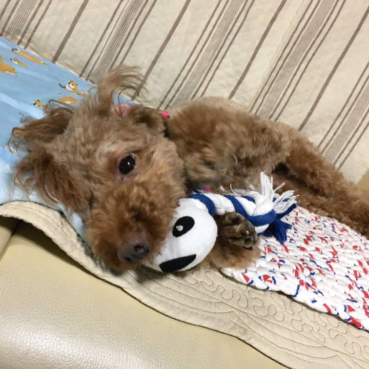 D793f341 e7a9 48c1 8e0c a446f3dddfdf