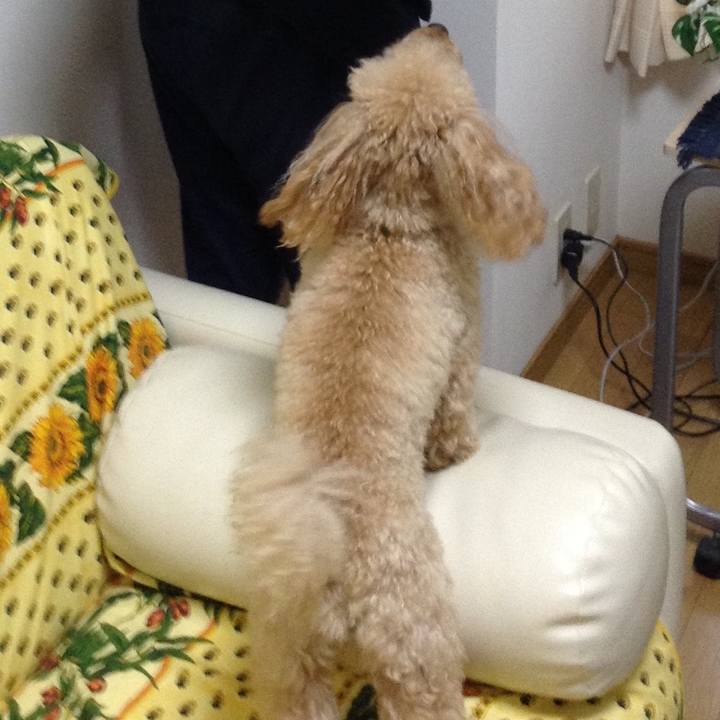 D7945ede 6f69 4ada 8dec 21f033cc5d4b