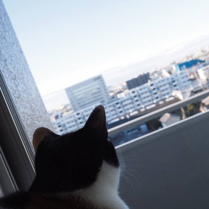 D79481e3 fc47 45fd b5db 054ed51c8698