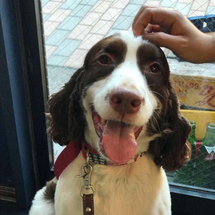 D7950a64 98e2 4395 91f2 87c8932ee753