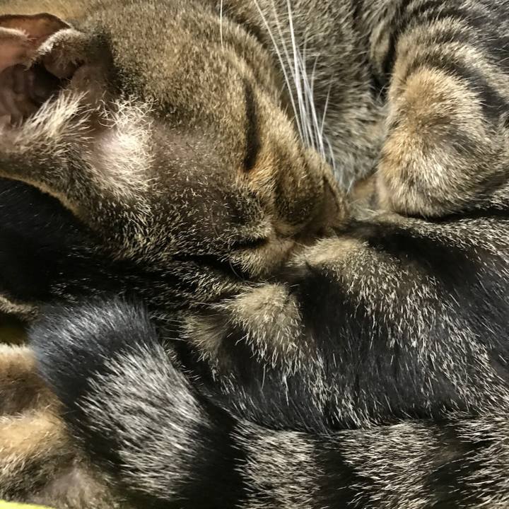 D7950d2d 227d 4c3f baf5 1f440ff90337