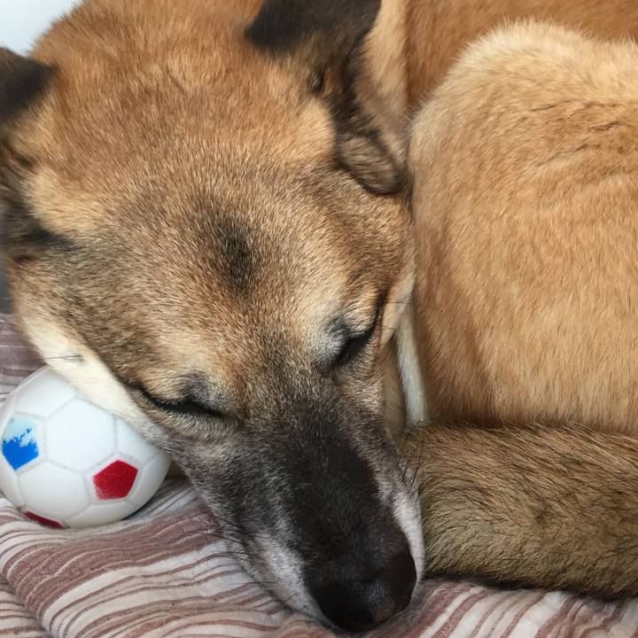 D79539d0 c854 4f55 a392 8e7cb93311e7