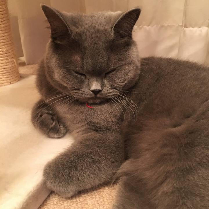 D7956e3d f636 4a10 8ca4 382b1bd648c5