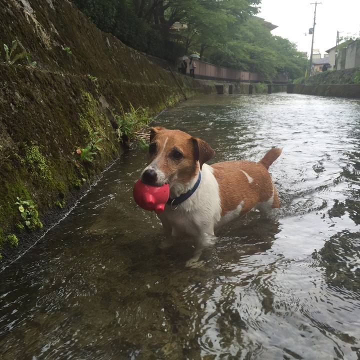 D795debc ed8e 47f6 accc d3f63b603f2a