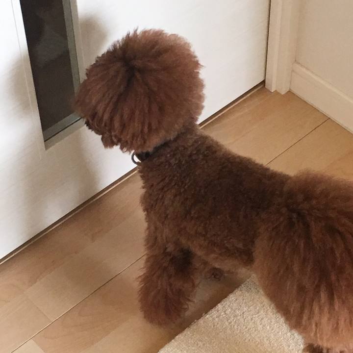 D7960a4a 994f 4c2a b475 9232ca74b2ad