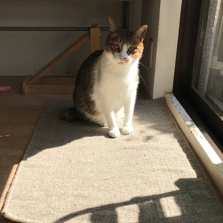 D7964501 8f36 4de8 b590 9e58afd9f747