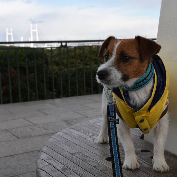 D7964fa9 903a 4afa bdfb 445b615b1248