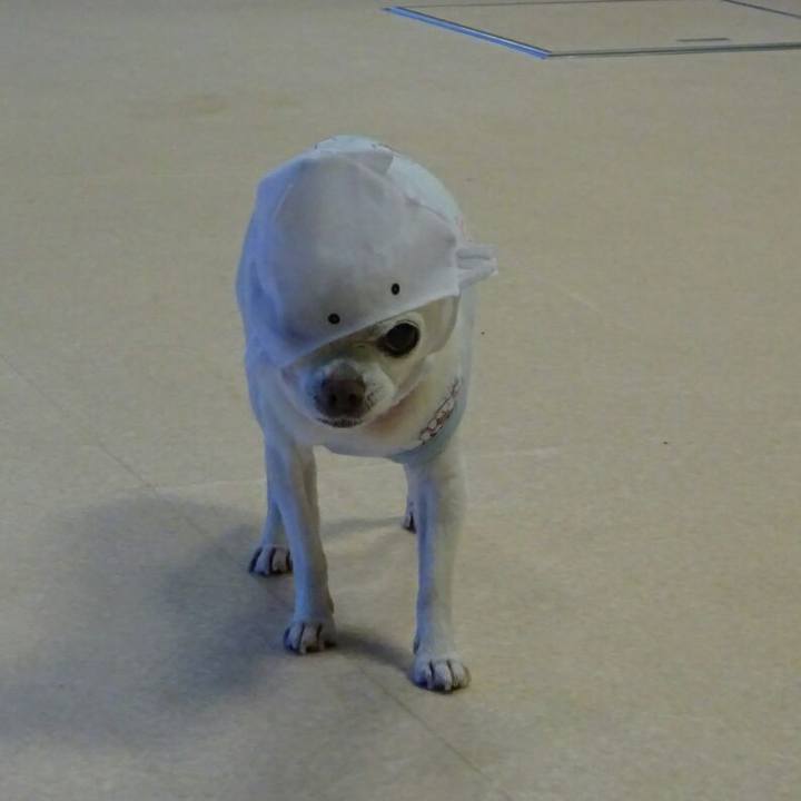 D7969e7a a48b 49b8 b8d0 5dbb12dfafd7