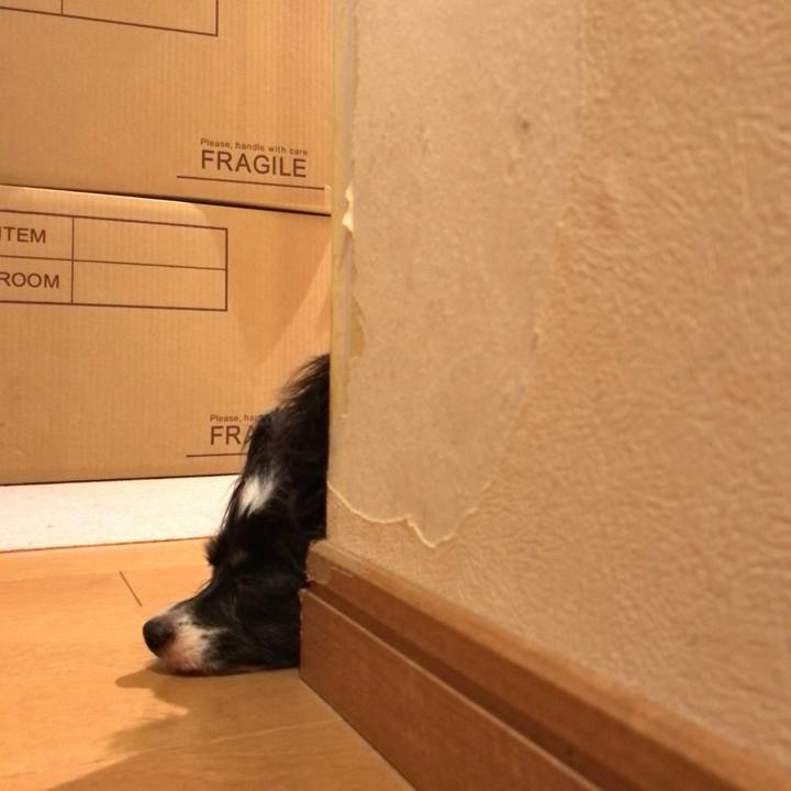 D796d1f7 789d 4e71 9e93 0441df978e94